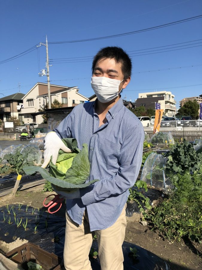 秋の収穫。